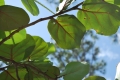 Rand Nature Center